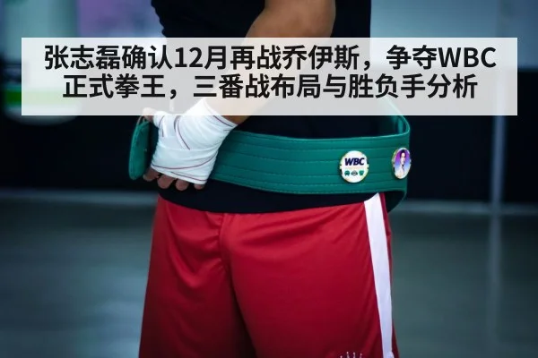 boxing championship belt